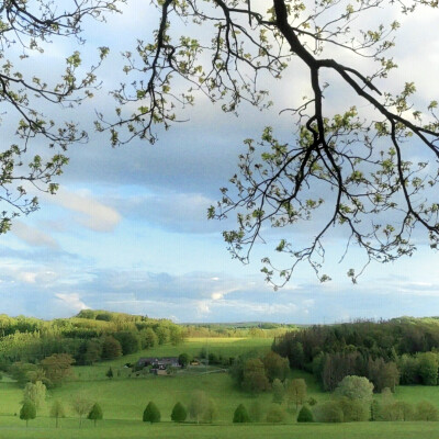 见信好 我们会在春天相见的