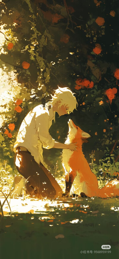 小王子