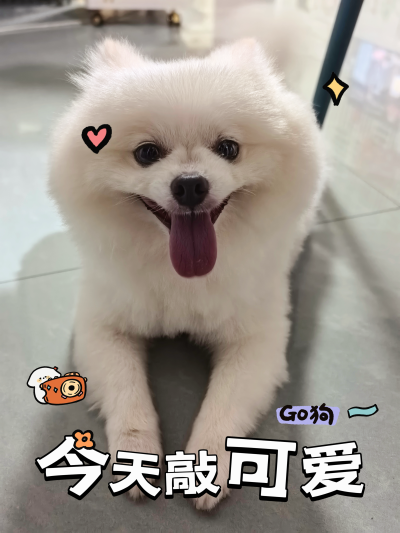 壁纸