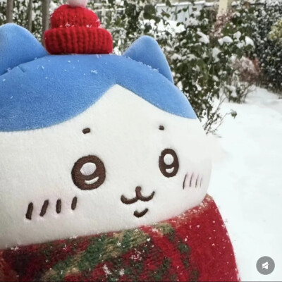 chiikawa 头像 背景