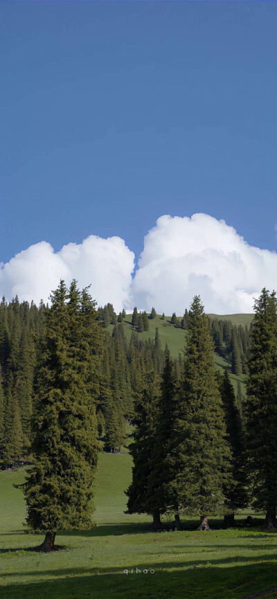 风景
