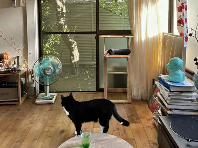 人生的意义就是要独自穿过悲喜
