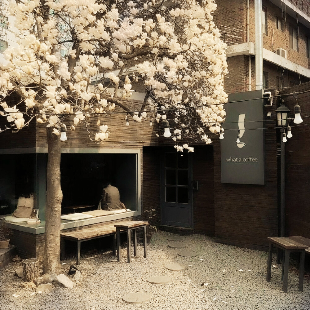 “达尔文；懂得永恒Jeunesse simple《좋아》