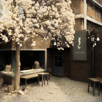 “达尔文；懂得永恒Jeunesse simple《좋아》