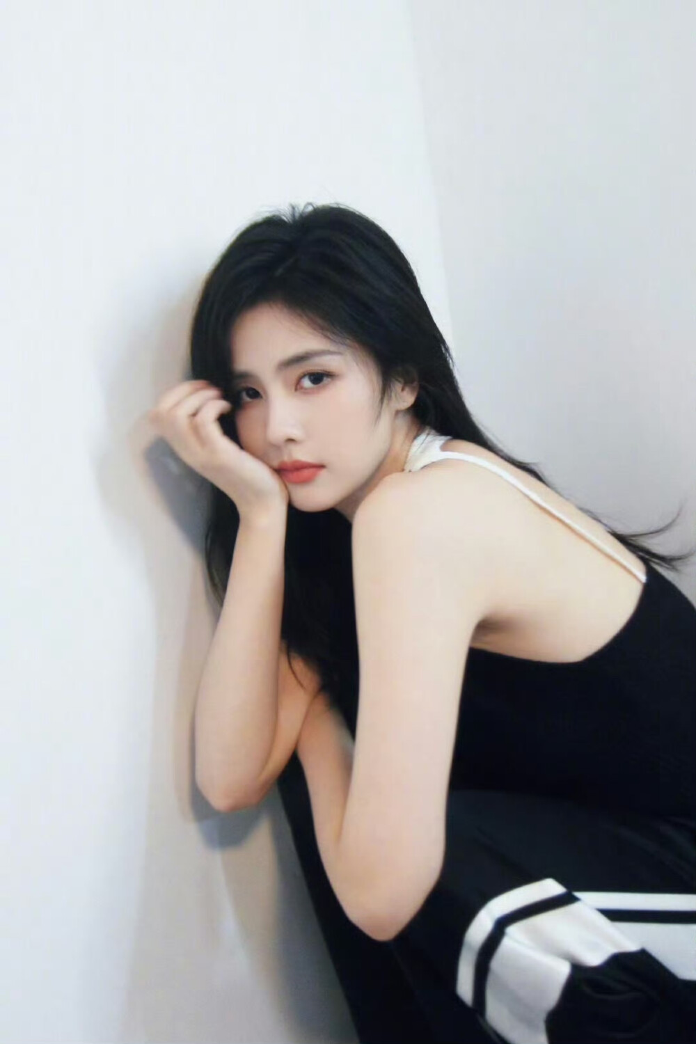 白鹿