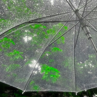 夏夜的雨声是我們共聆過的安眠曲