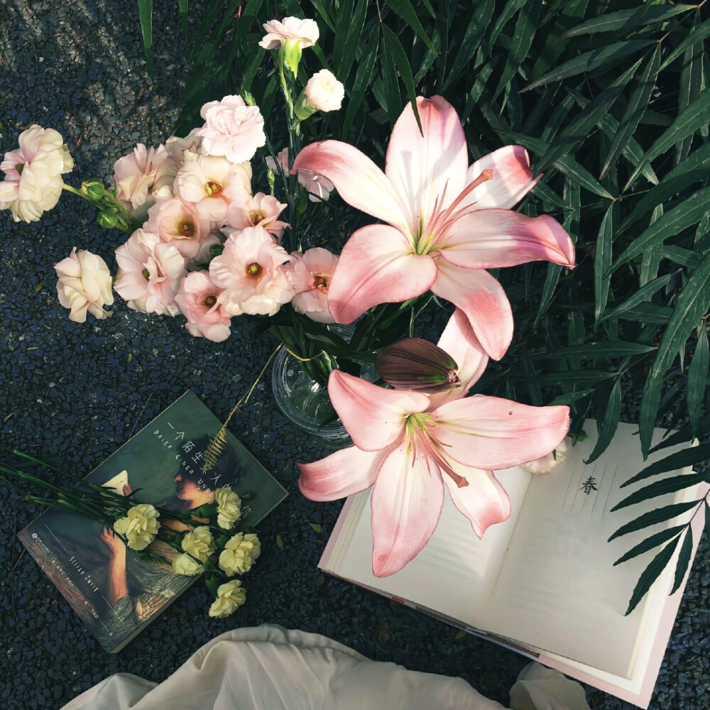 借来的猫 初次渗入心脏的呼吸