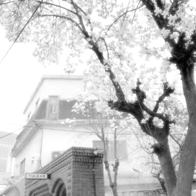 *ʚ幸せの前奏₊˚⋆記憶 是一種縱橫交錯的痛苦·° ୨୧