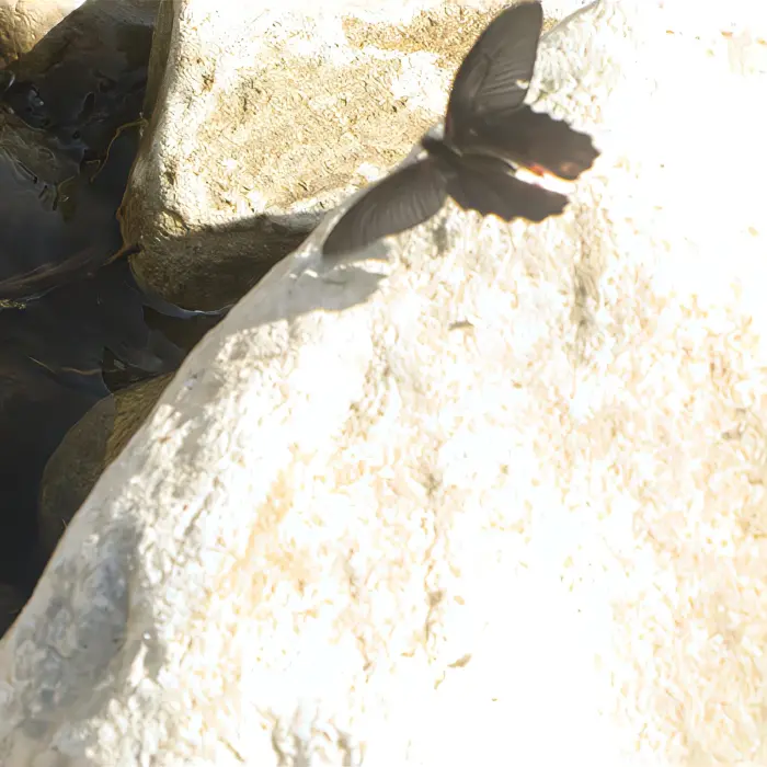 除了春天爱情和樱花