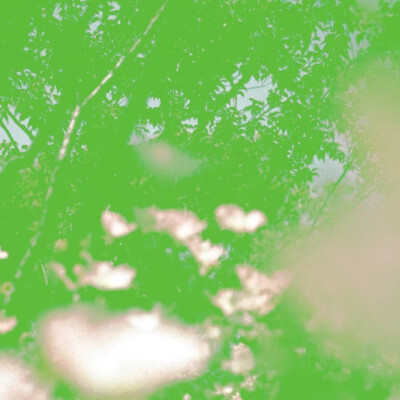 林哕宝宝送的嘿嘿