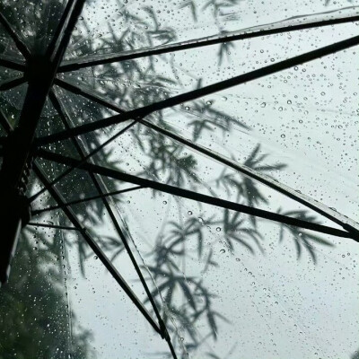 许智媛