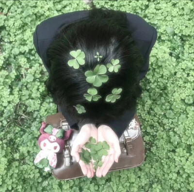 绿色系背景图 简介