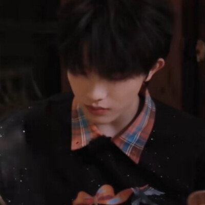兔子狗来袭