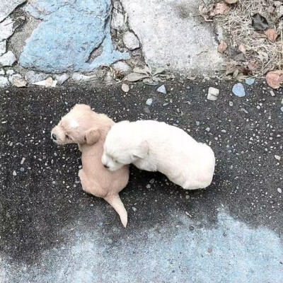 消失的下雨天 我好想再淋一遍