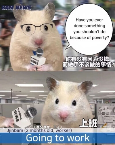 0.0