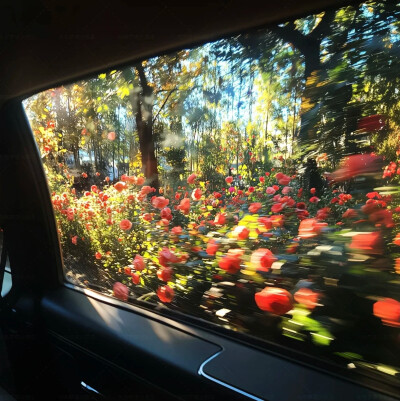 背景图