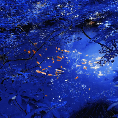 ＊我的公主殿下お姫様「heartbreak prince」