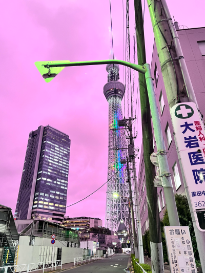 只有日本