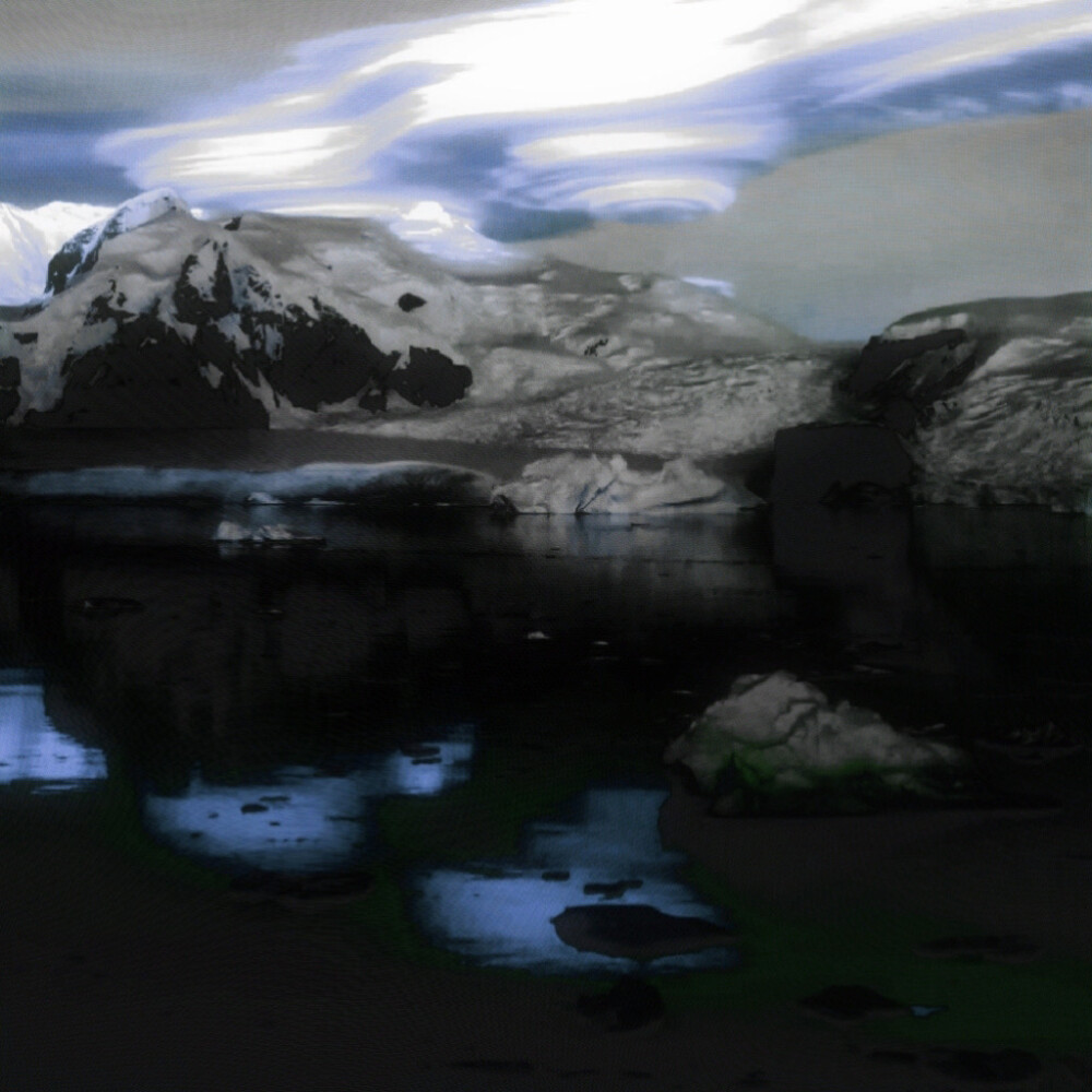 只恋你化身的蝶