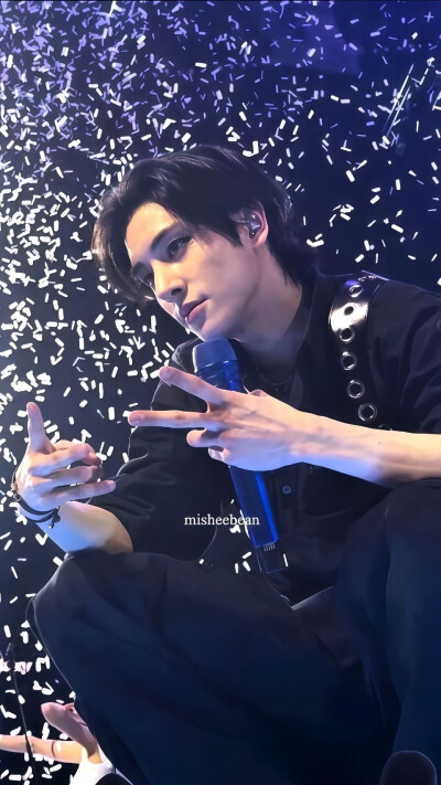 沈载伦