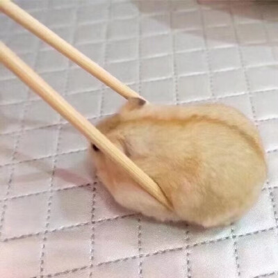 0.0
