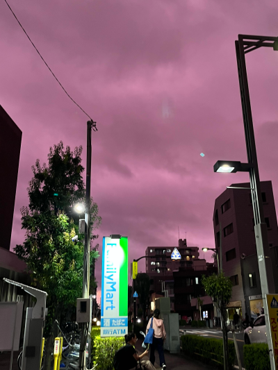 只有日本