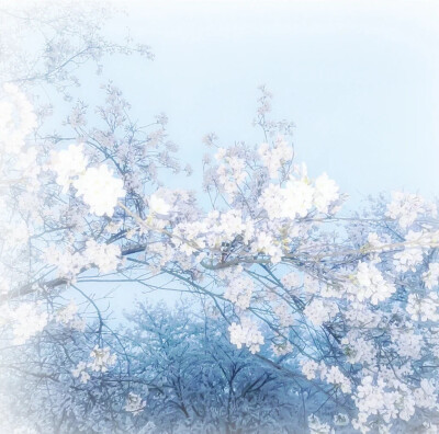 蓝色系背景图 简介