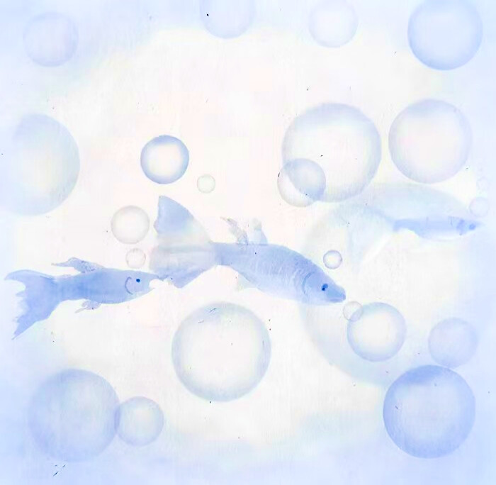 Paris in the rain… 睫毛上的雨滴、《昨夜未说完的诗》