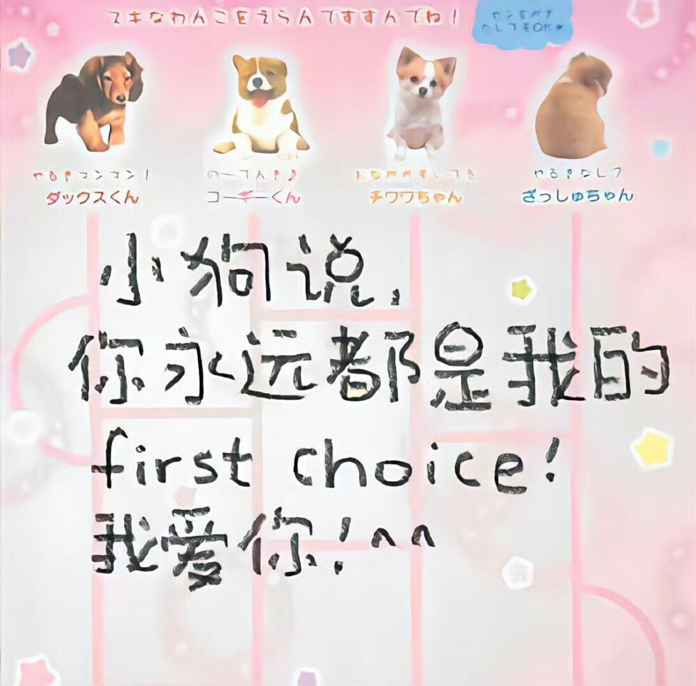 下一页 幸福来临 ˶>ᗜ<˶