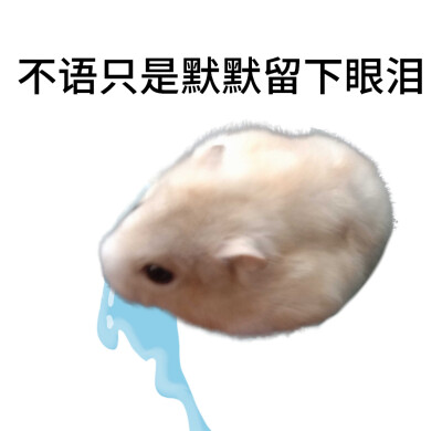 0.0