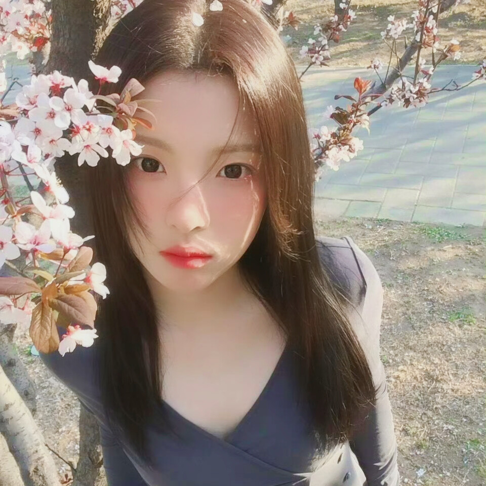 除了春天爱情和樱花