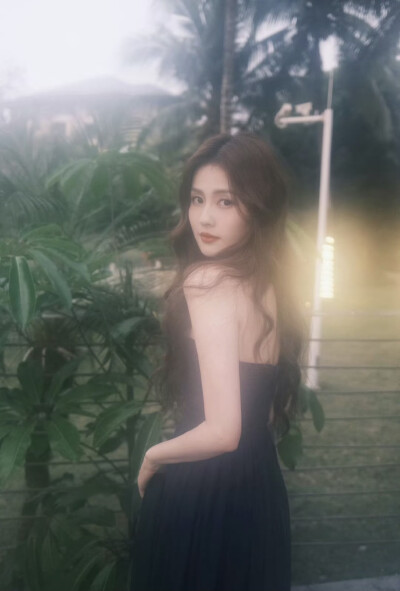 白鹿