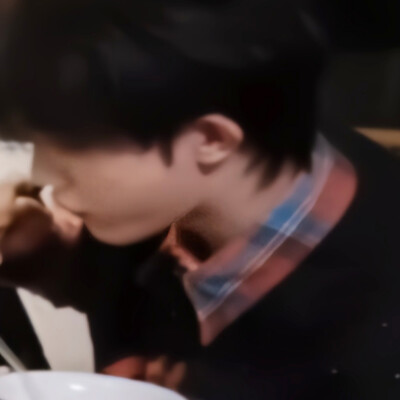 兔子狗来袭