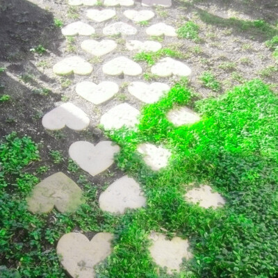 夏夜的雨声是我們共聆過的安眠曲