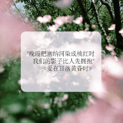 李兰迪