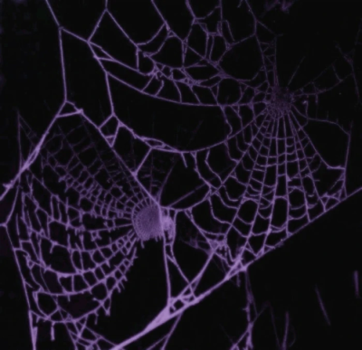 ☠᛭無数の糸.✝︎᛭＂ı|ı₊⁺バタフライ効菓.⁺₊✞Me and you〉