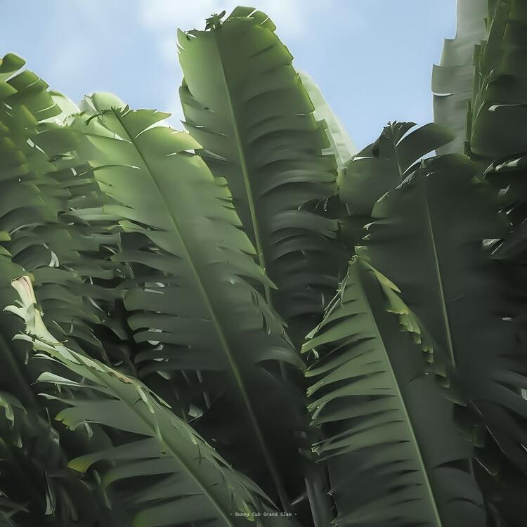 *大王叫我来巡山
王星越
背景图cr早就偏航了