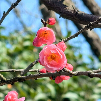 日常
在钢筋森林的夹缝里