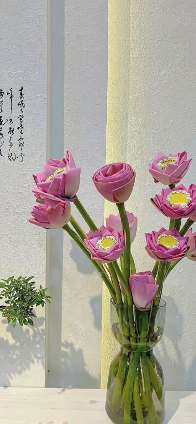 清理负债 磁场转好 做事顺利
壁纸