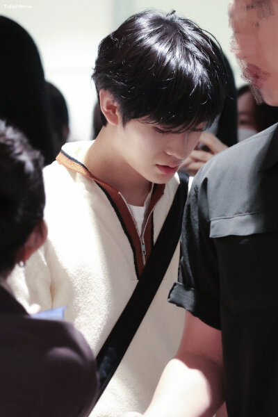 TulipMeow_0204
