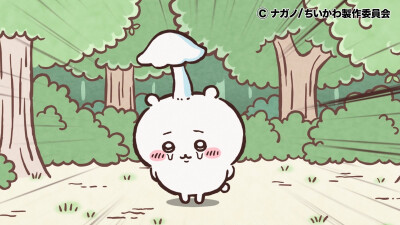 吉伊卡哇