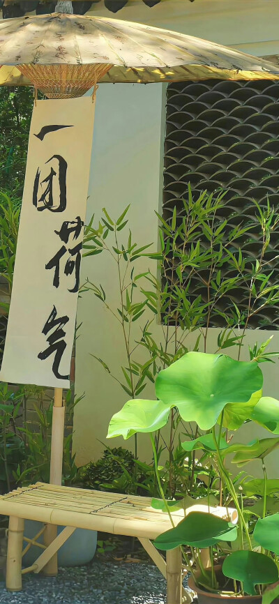 绿色护眼壁纸
