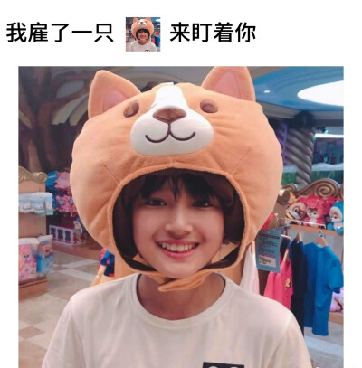 猪