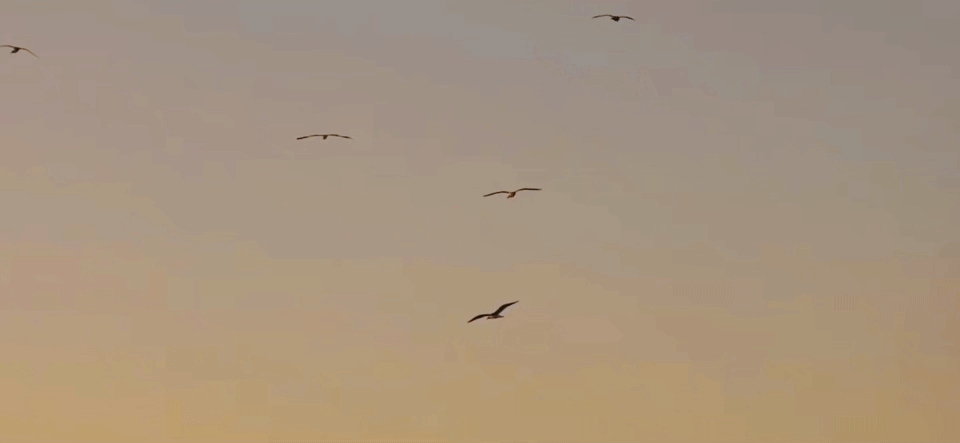 林哕～˶ᵒ ᵕ ˂˶