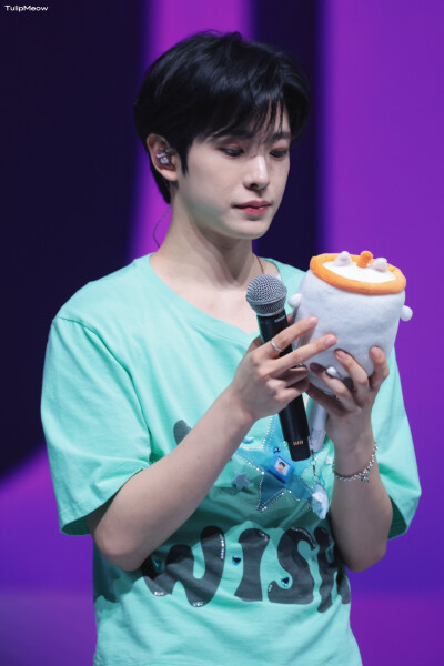 TulipMeow_0204
