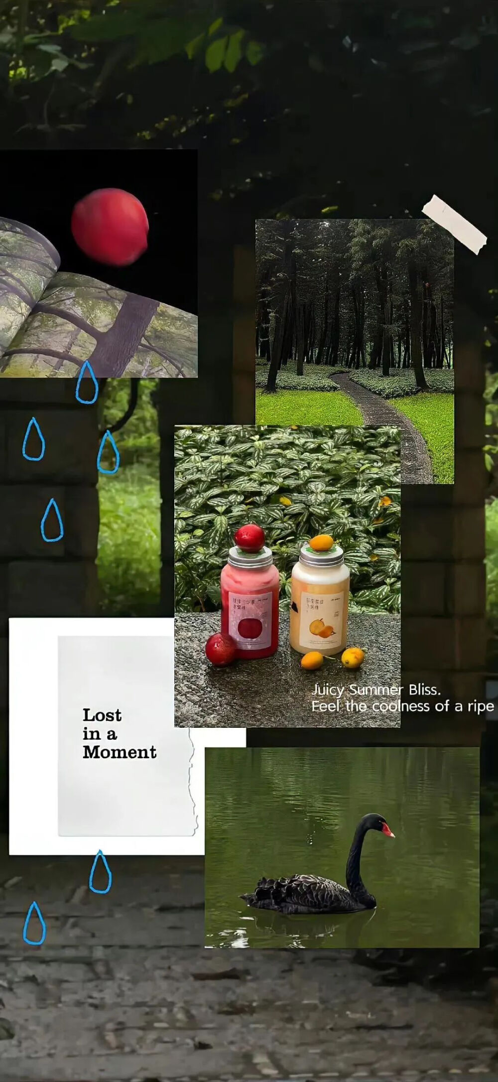 人生的意义就是要独自穿过悲喜