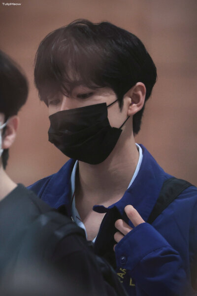 TulipMeow_0204