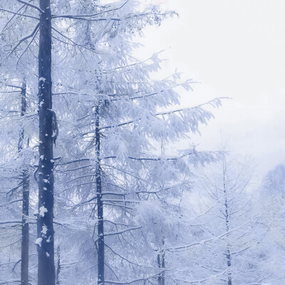 * 我要逃到只有音乐的地方
鞠婧祎
背景图cr早就偏航了
