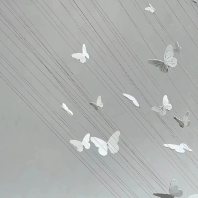 霸道鸟鸟狠狠爱