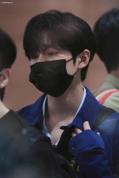 TulipMeow_0204